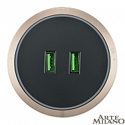 Розетка 2xUSB на треке Arte Milano Am-track-sockets 380066TS LED/USBx2 Gold цвет Золото-2