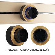 Розетка с заземлением на треке Arte Milano Am-track-sockets-39 397952TS/ES Gold цвет Золото-4