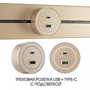 Розетка USB и type C на треке Arte Milano Am-track-sockets-39 399732TS/USB-Type-C Gold цвет Золото-4