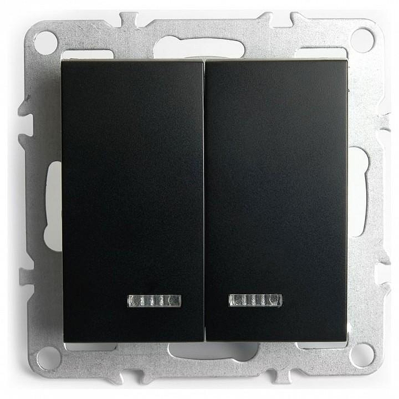 Выключатель двухклавишный с подсветкой без рамки Stekker Эрна 49147 