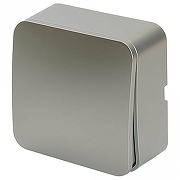 Выключатель двухклавишный с подсветкой Stekker София 49295 цвет Серебро