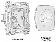 Розетка с заземлением, без рамки Ambrella Volt MO MO106010 цвет Белый-2