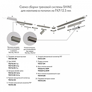 Токопровод центральный Denkirs SHINE BASE TR5721-DN цвет арматуры Никель-5