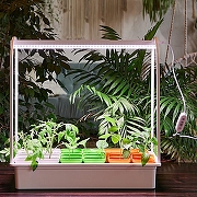 Провод электрический с выключателем Uniel UST-E33 UL-00006493 цвет Белый-9