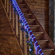 Шнур световой Uniel UL-00008569 IP44-4