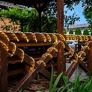 Шнур световой Uniel UL-00008572 IP44-6