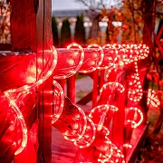 Шнур световой Uniel UL-00008580 IP44-10