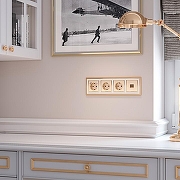 Розетка с заземлением, без рамки Werkel шампань рифленый W1171010 цвет Бежевый-1