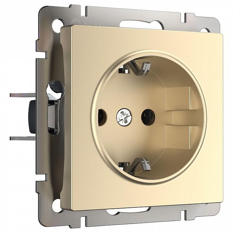 Розетка с заземлением и со шторками, без рамки Werkel шампань W1171111 