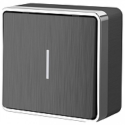 Выключатель одноклавишный с подсветкой Werkel Gallant (графит рифленый) W5010104 цвет Графит