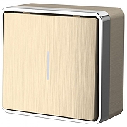 Выключатель одноклавишный с подсветкой Werkel Gallant (шампань рифленый) W5010110 цвет Бежевый