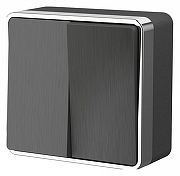 Выключатель двухклавишный Werkel Gallant (графит рифленый) W5020004 цвет Графит