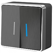 Выключатель двухклавишный с подсветкой Werkel Gallant (графит рифленый) W5020104 цвет Графит