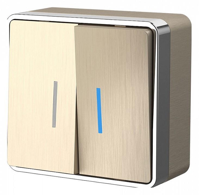 Выключатель двухклавишный с подсветкой Werkel Gallant (шампань рифленый) W5020110 