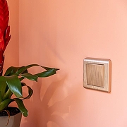 Розетка Ethernet RJ-45 без рамки Werkel графит рифленый W1181004 цвет Графит-2