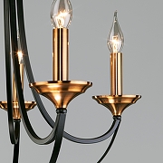 Люстра Eurosvet Lazzaro 60098/5 черный цвет черный-4