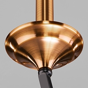 Люстра Eurosvet Lazzaro 60098/5 черный цвет черный-5