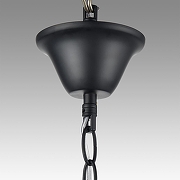 Люстра Lumion Nana 8106/8 цвет черный-5