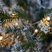 Ель новогодняя Uniel Ёлочка снежная UL-00011294 цвет Белый, зеленый-4