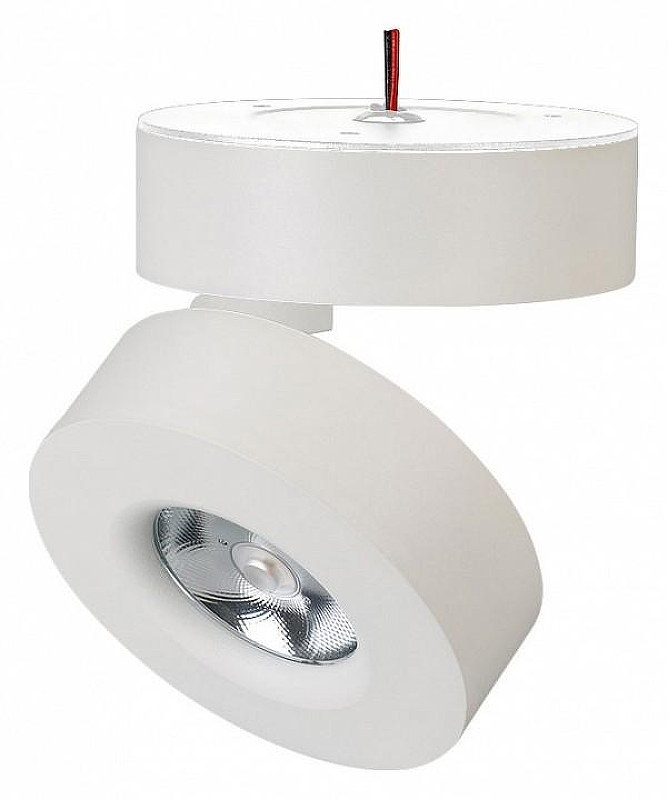 Светильник на штанге Arlight MONA 025439(1) 