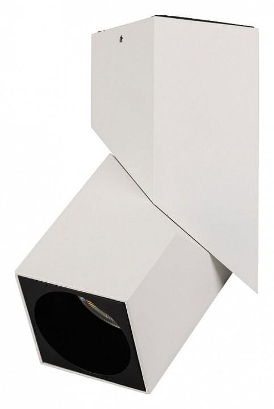 Светильник на штанге Arlight TW1ST 026767(1) 