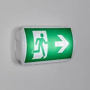 Светильник-указатель Arlight EMERGENCY 046151 цвет плафона/подвески Прозрачный, цвет арматуры Белый-1