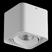 Накладной светильник Lightstar Monocco 052116-IP65 цвет плафона/подвески Белый, цвет арматуры Белый-1