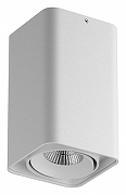 Накладной светильник Lightstar Monocco 052136-IP65 цвет плафона/подвески Белый, цвет арматуры Белый
