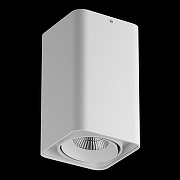 Накладной светильник Lightstar Monocco 052136-IP65 цвет плафона/подвески Белый, цвет арматуры Белый-1