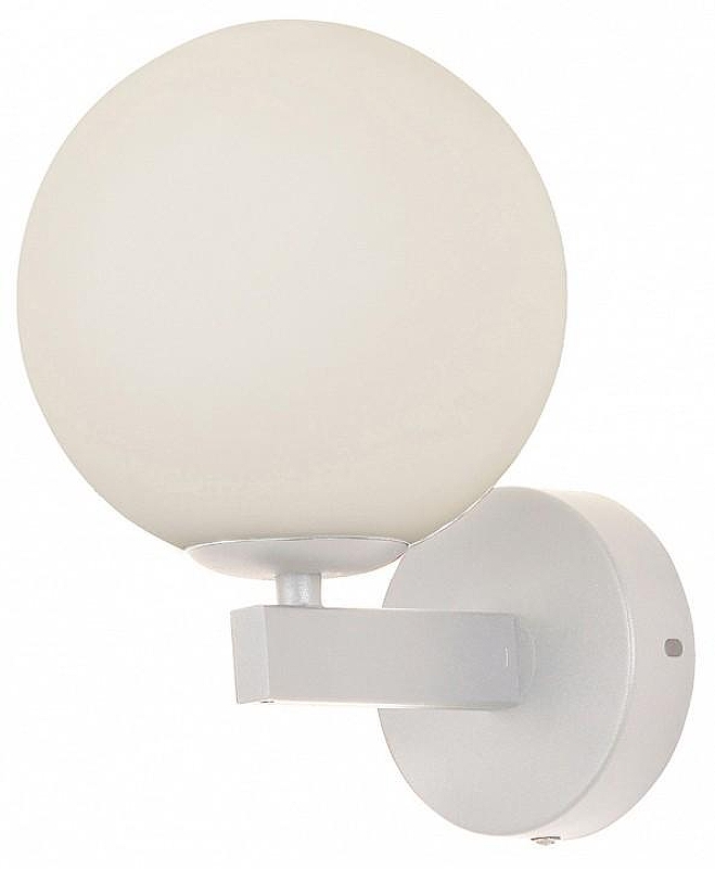 Бра Kink Light Сида 07508-1,01 