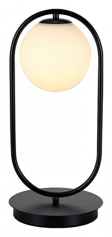 Настольная лампа Kink Light Кенти 07631-8,19 