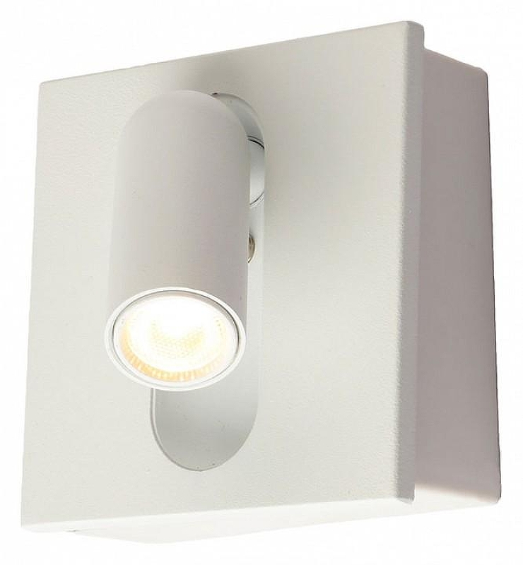 Бра Kink Light Эви 08073,01 