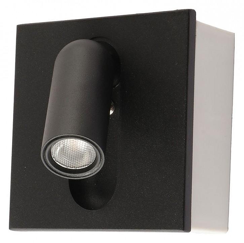 Бра Kink Light Эви 08073,19 