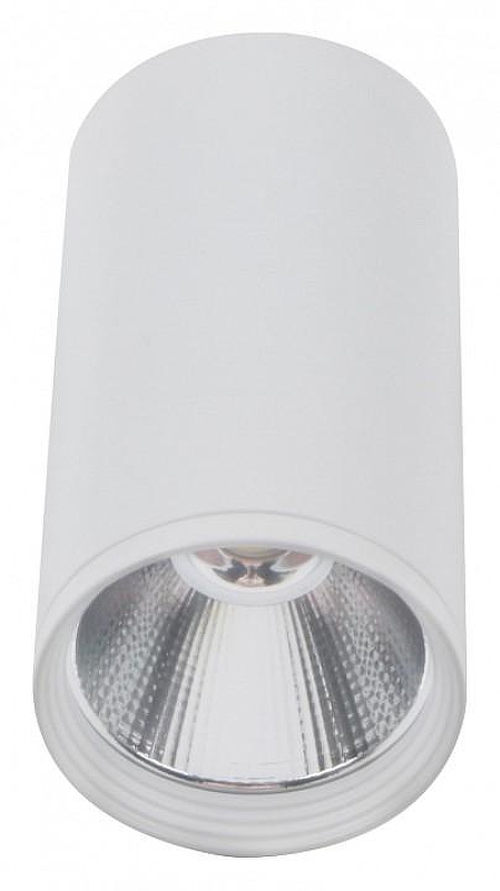 Накладной светильник Kink Light Фабио 08570-10,01 