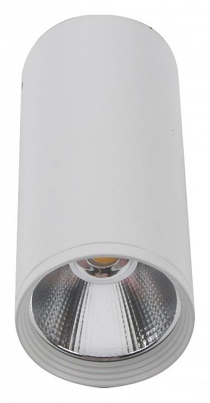 Накладной светильник Kink Light Фабио 08570-12,01 