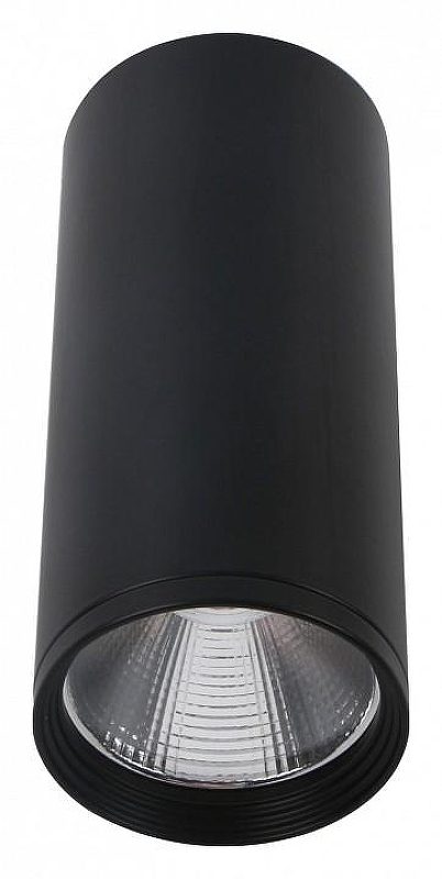 Накладной светильник Kink Light Фабио 08570-12,19 