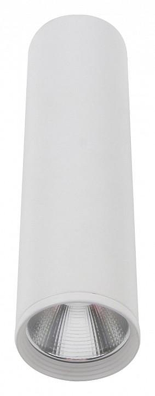 Накладной светильник Kink Light Фабио 08570-20,01 
