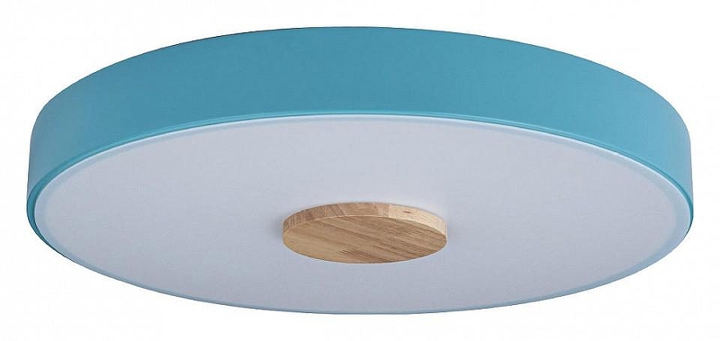 Накладной светильник Loft it Axel 2 10003/24 Blue 