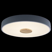 Накладной светильник Loft it Axel 2 10003/24 Grey цвет плафона/подвески Белый, Серый, цвет арматуры Серый-2