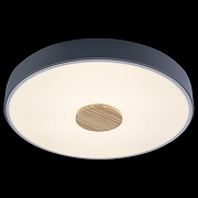 Накладной светильник Loft it Axel 2 10003/24 Grey цвет плафона/подвески Белый, Серый, цвет арматуры Серый-3