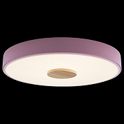 Накладной светильник Loft it Axel 2 10003/24 Pink цвет плафона/подвески Белый, цвет арматуры Розовый-2