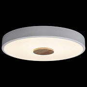 Накладной светильник Loft it Axel 2 10003/24 White цвет плафона/подвески Белый, цвет арматуры Белый-2