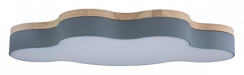 Накладной светильник Loft it Axel 4 10005/36 Grey 