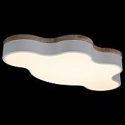 Накладной светильник Loft it Axel 4 10005/36 White цвет плафона/подвески Белый, цвет арматуры Белый-5