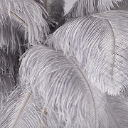 Торшер Loft it Bijout 10067F/GD Grey цвет плафона/подвески Серый, цвет арматуры Золото-5