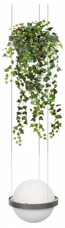 Подвесной светильник Loft it Jard1n 10121/1P Dark grey 