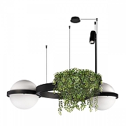 Подвесной светильник Loft it Jard1n 10121/2 цвет плафона/подвески Белый, цвет арматуры Черный-2