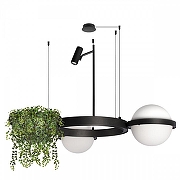 Подвесной светильник Loft it Jard1n 10121/2 цвет плафона/подвески Белый, цвет арматуры Черный-3