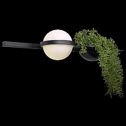 Бра Loft it Jard1n 10121W/A цвет плафона/подвески Белый, цвет арматуры Черный-3