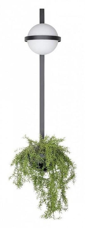 Бра Loft it Jard1n 10121W/B 